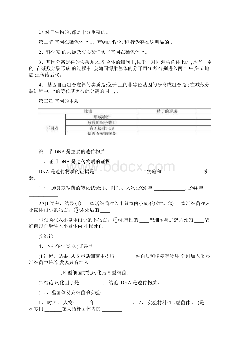 21遗传的分子基础与细胞学基础精文档格式.docx_第2页