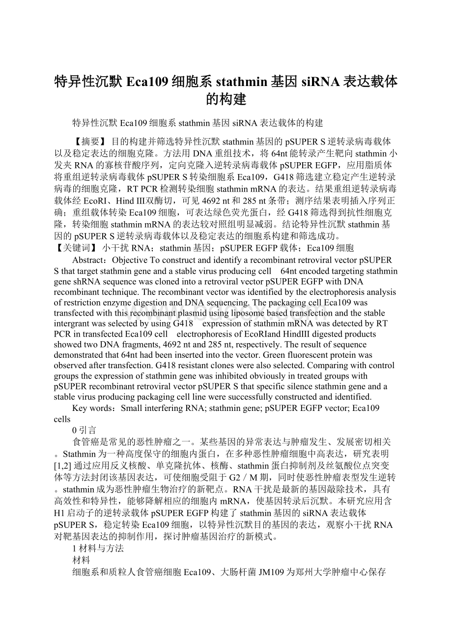 特异性沉默Eca109细胞系stathmin基因siRNA表达载体的构建.docx_第1页