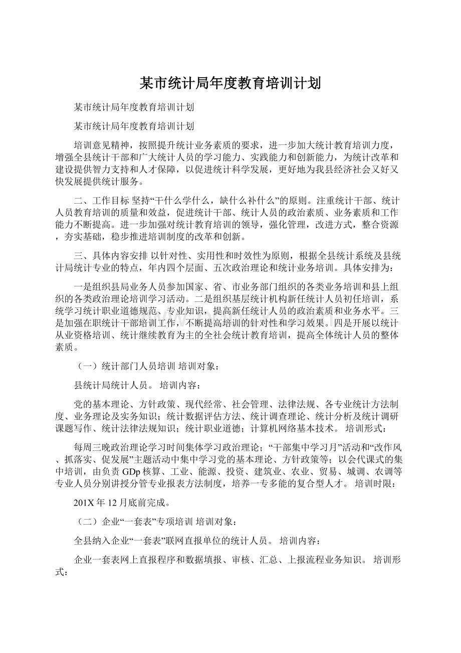 某市统计局年度教育培训计划.docx