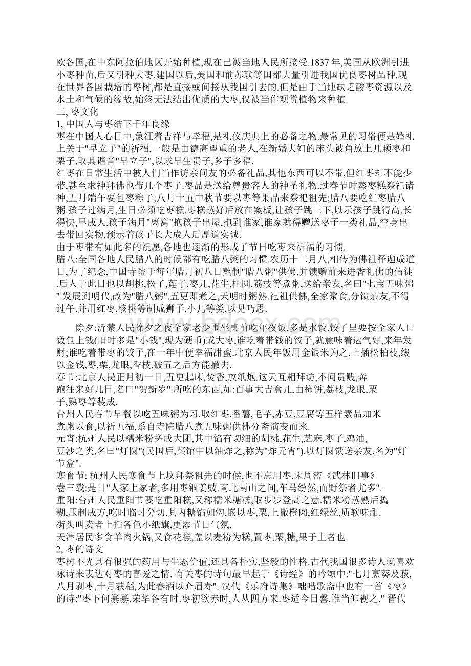 新疆南疆发展枣业可行性研究报告Word文档下载推荐.docx_第2页