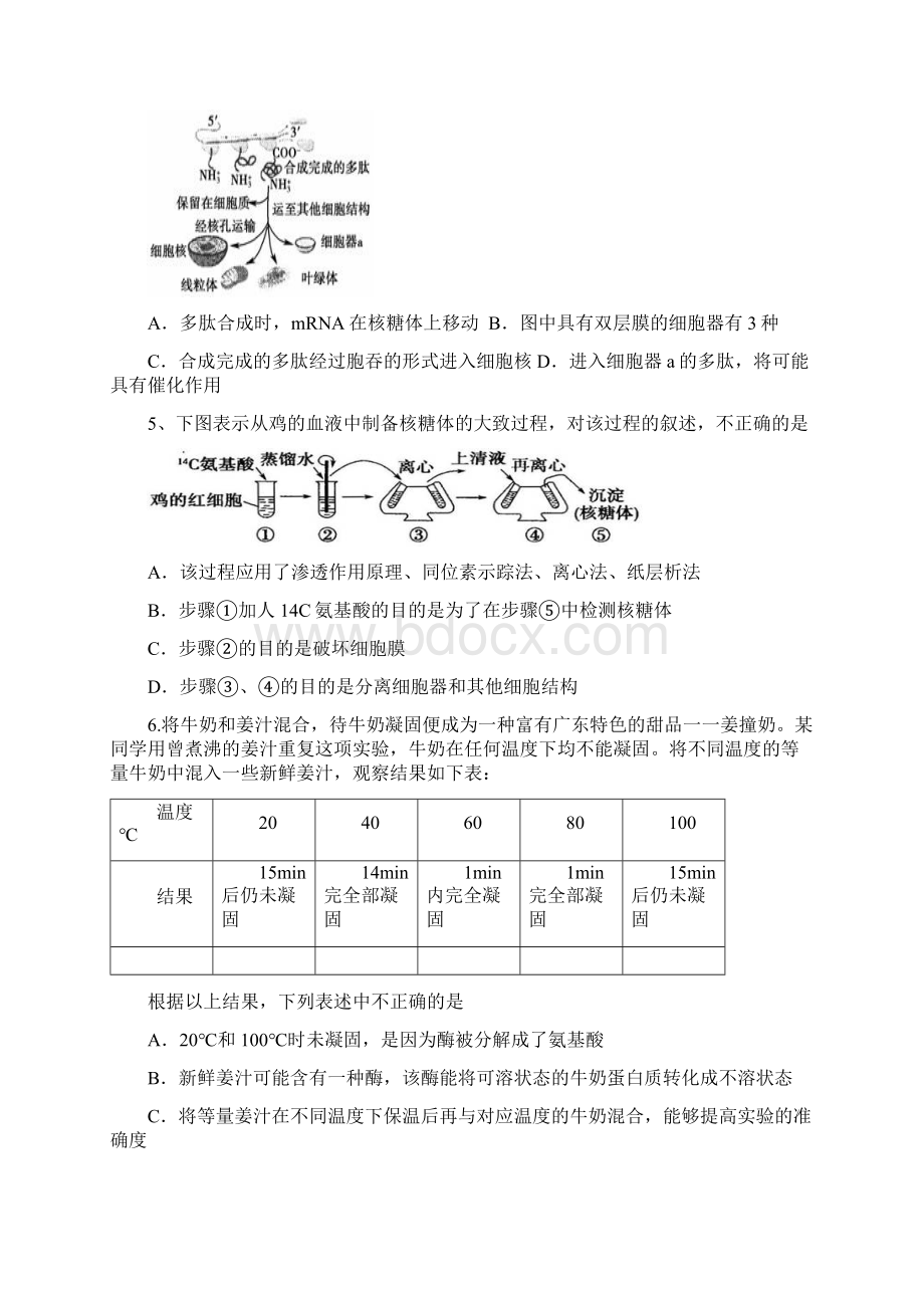 届高考生物百强名校试题解析精编版河北省望都中学届高三月考生物试题解析原卷版Word格式.docx_第2页