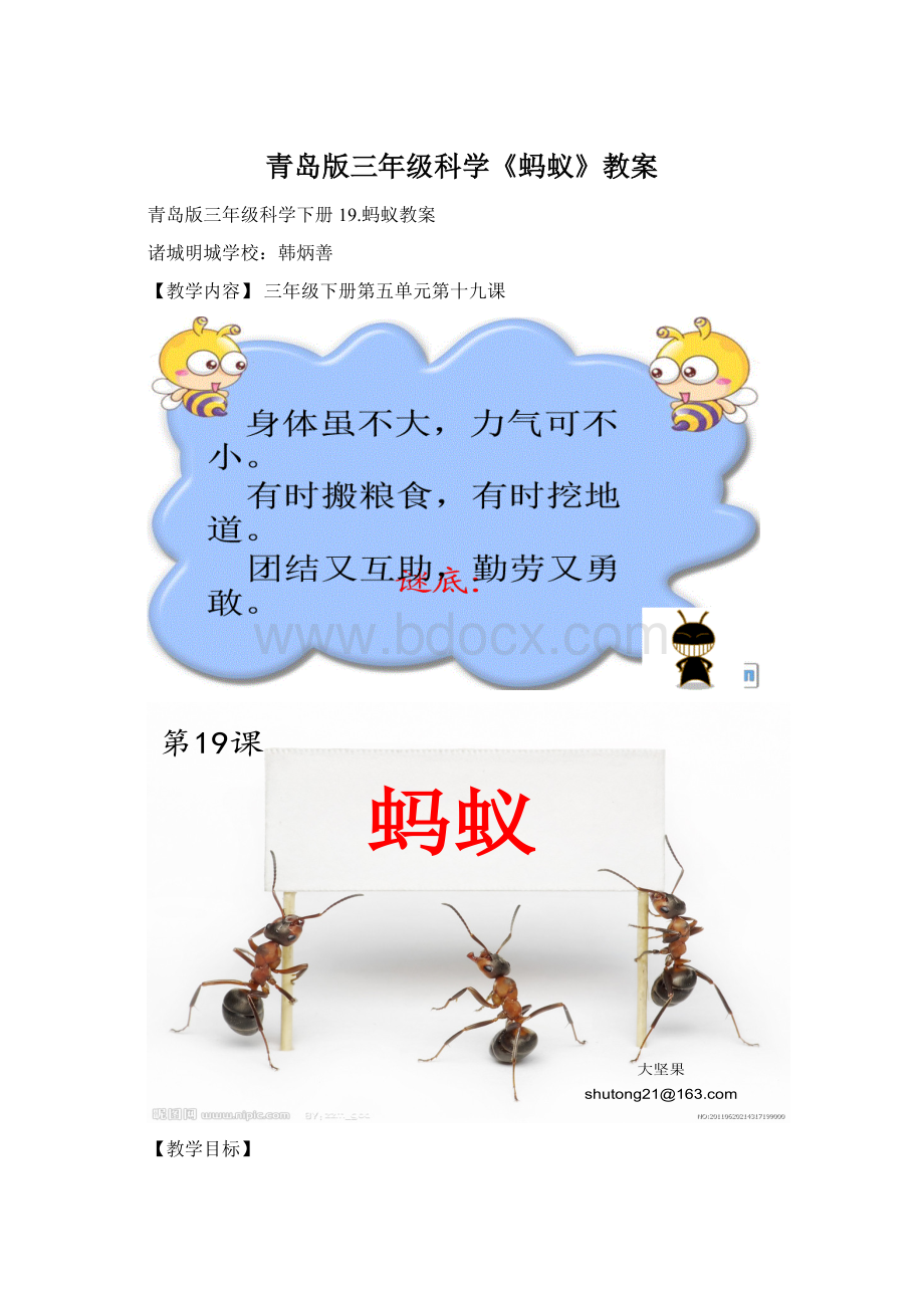 青岛版三年级科学《蚂蚁》教案文档格式.docx_第1页