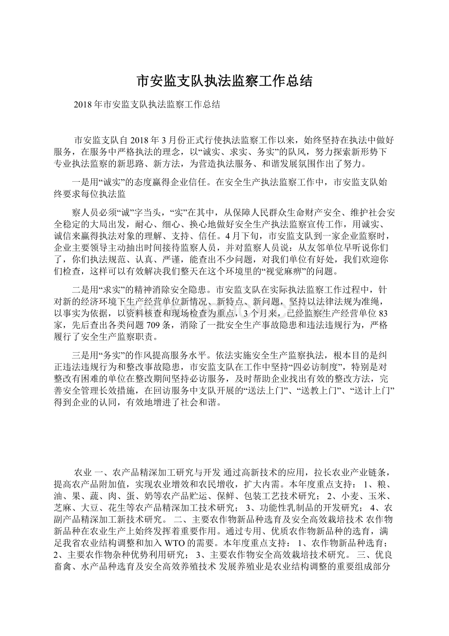 市安监支队执法监察工作总结.docx_第1页