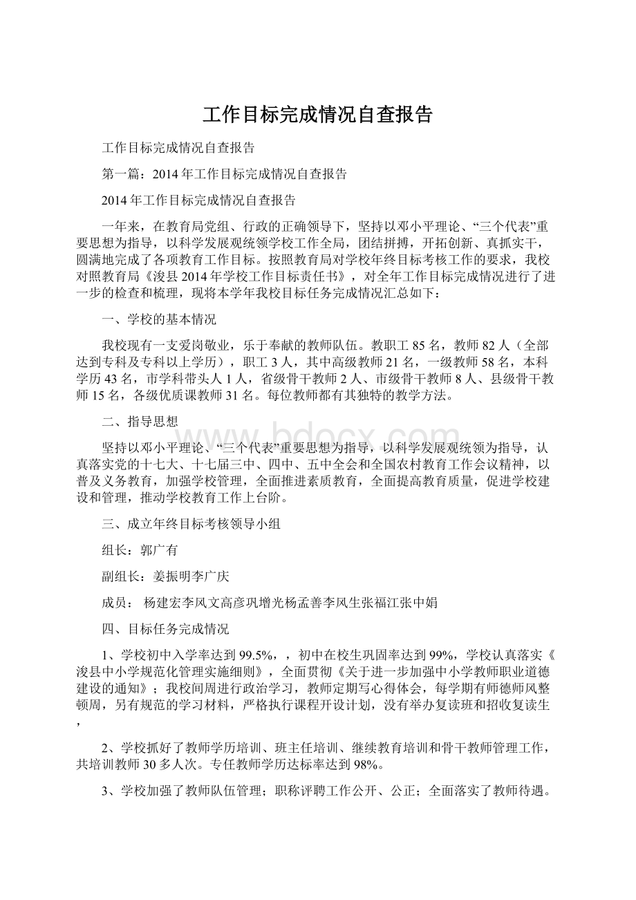 工作目标完成情况自查报告.docx