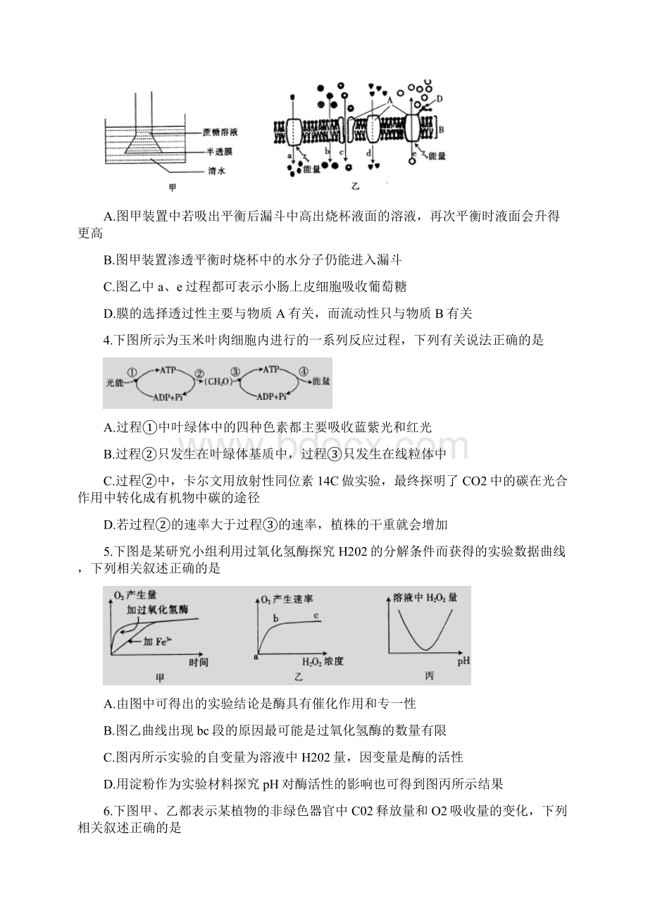 山西省康杰中学忻州市第一中学等六校届高三上学期第三次名校联考生物试题.docx_第2页