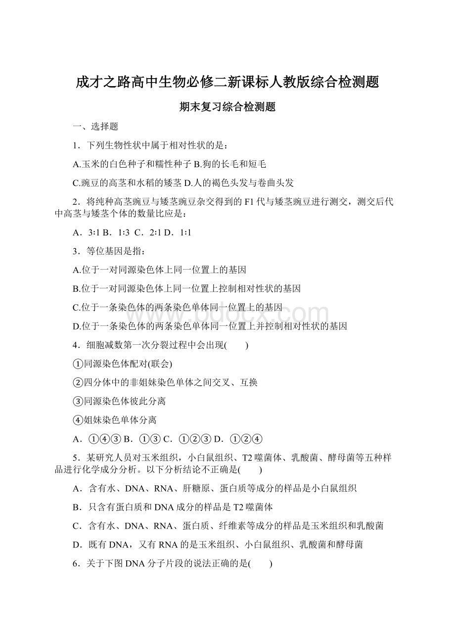 成才之路高中生物必修二新课标人教版综合检测题Word格式文档下载.docx