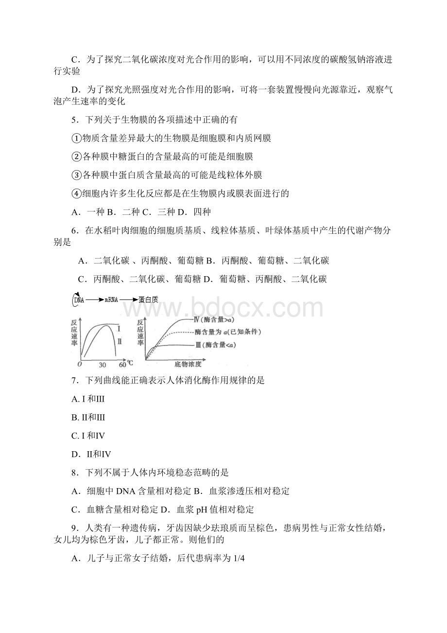 伍佑中学09届高三生物期末复习题及答案.docx_第2页