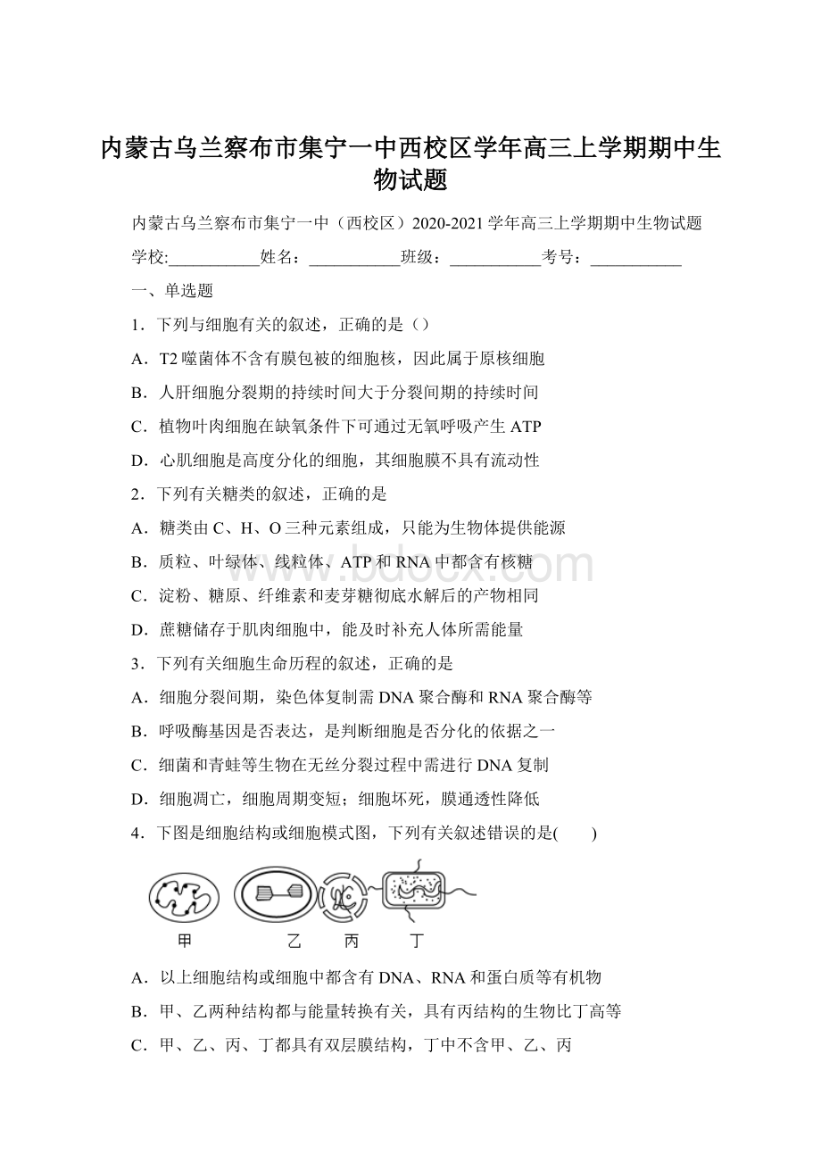 内蒙古乌兰察布市集宁一中西校区学年高三上学期期中生物试题Word文档下载推荐.docx