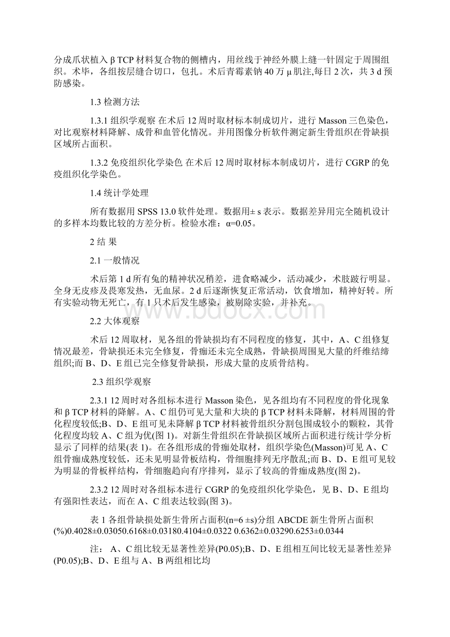 组织工程骨神经化构建的组织学研究.docx_第3页