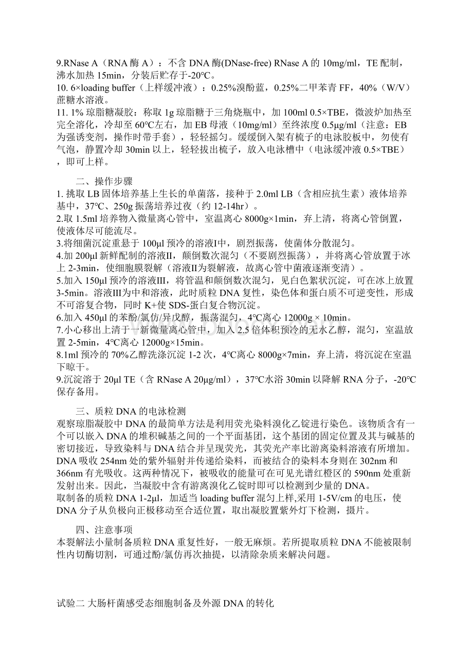 基因工程原理实验指导Word格式文档下载.docx_第3页