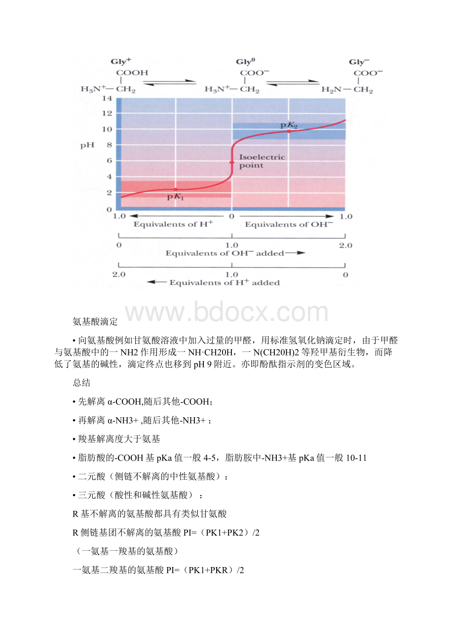 氨基酸笔记Word下载.docx_第2页