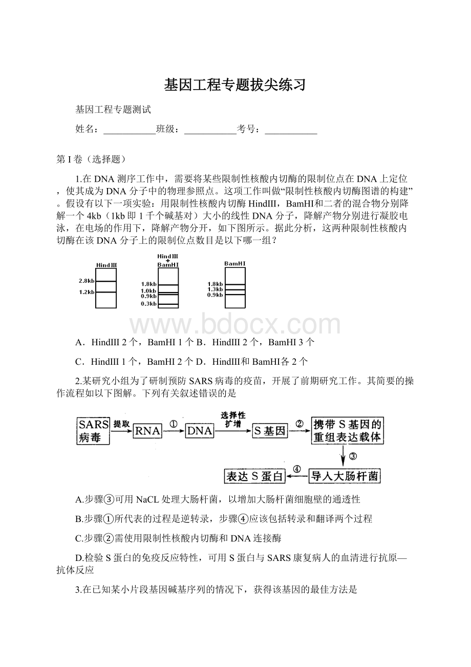 基因工程专题拔尖练习.docx_第1页