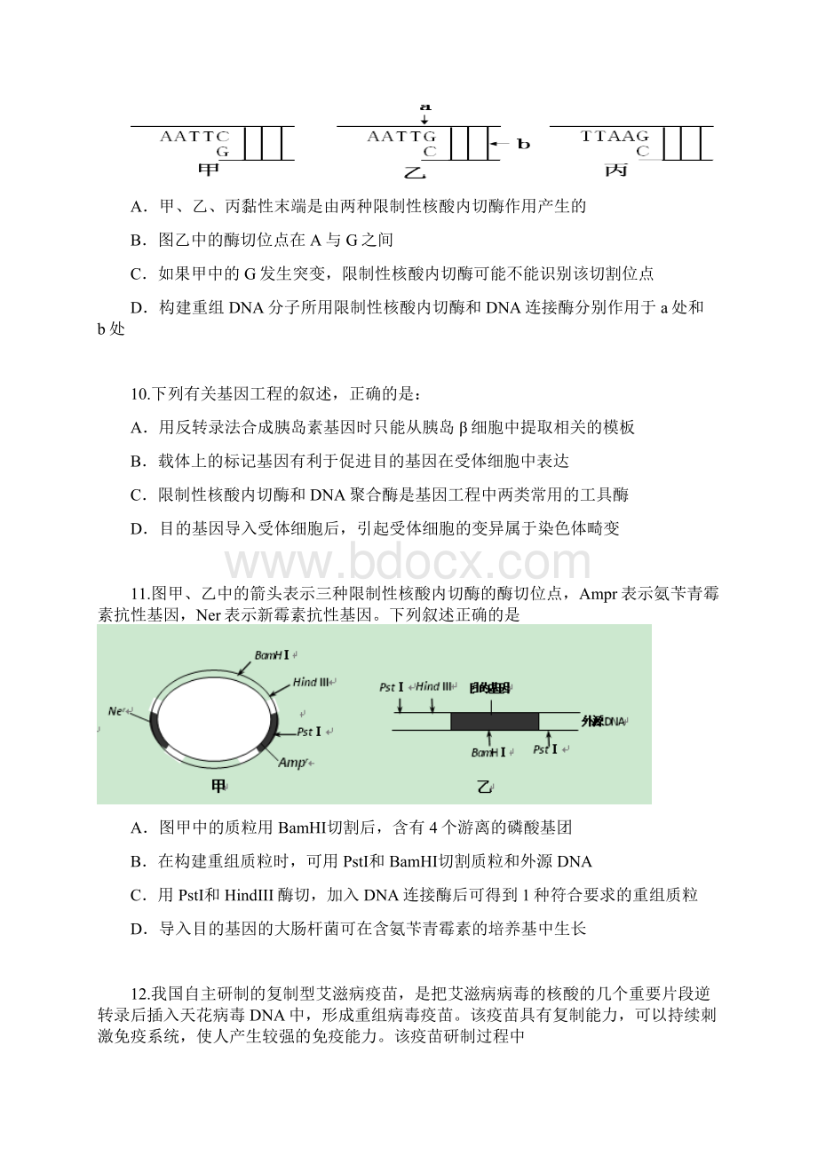 基因工程专题拔尖练习.docx_第3页