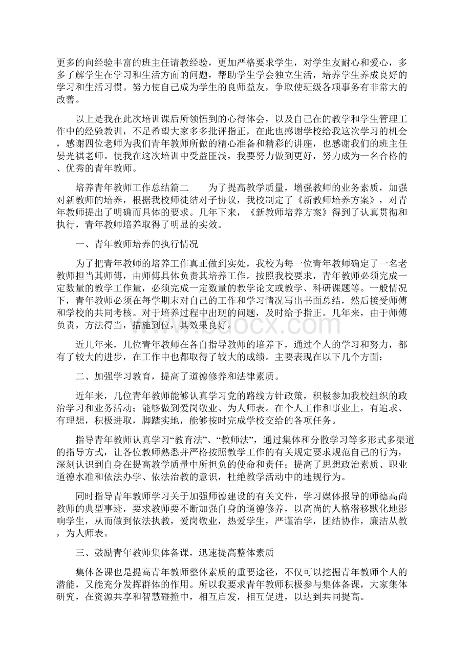 培养青年教师工作总结Word格式文档下载.docx_第3页