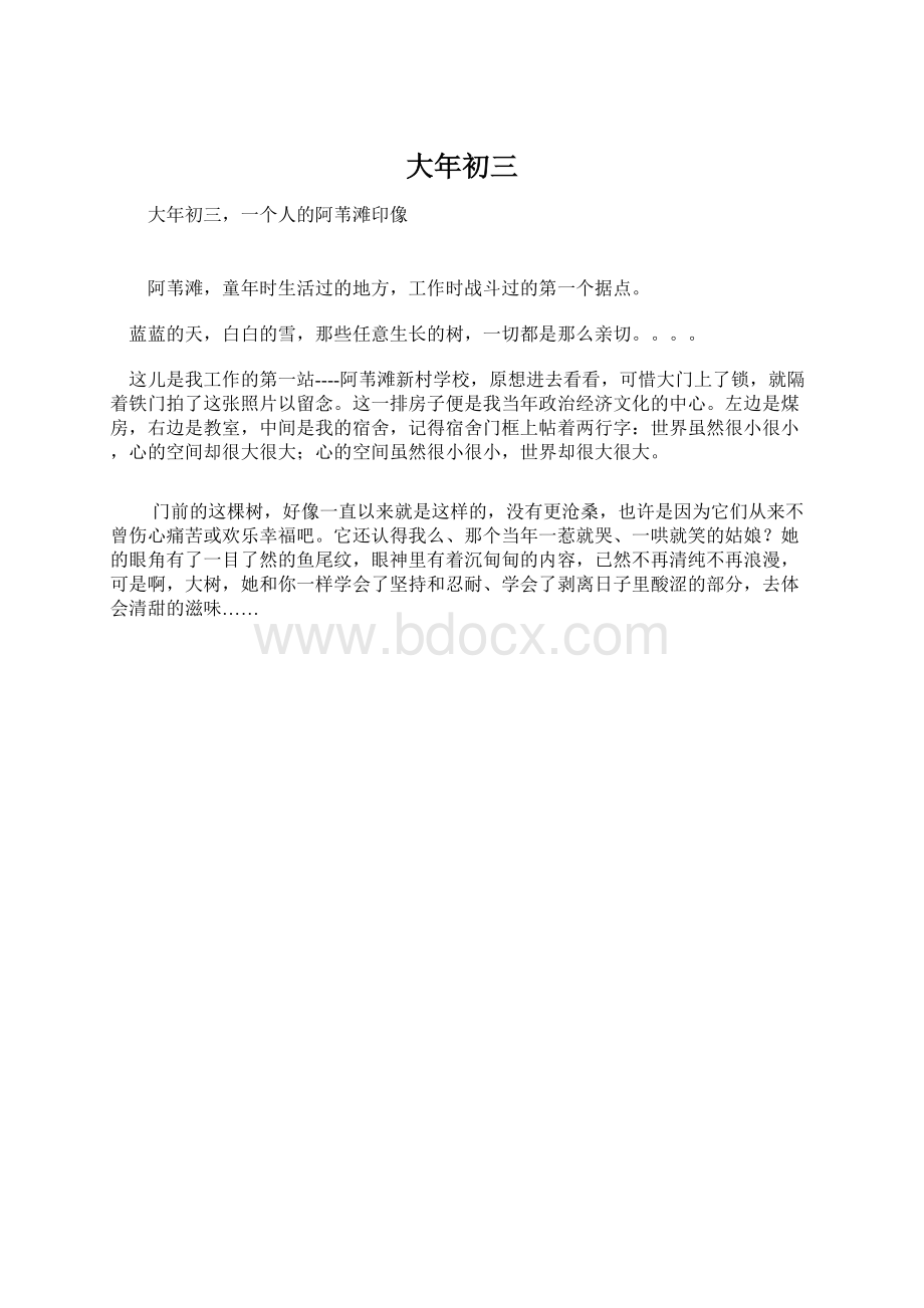 大年初三Word文档下载推荐.docx