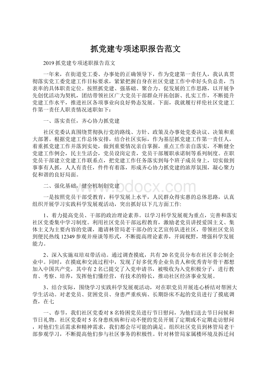 抓党建专项述职报告范文Word格式.docx