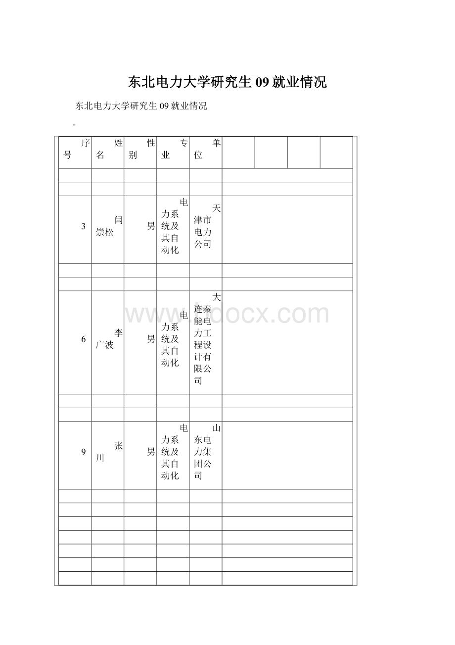 东北电力大学研究生09就业情况Word下载.docx_第1页