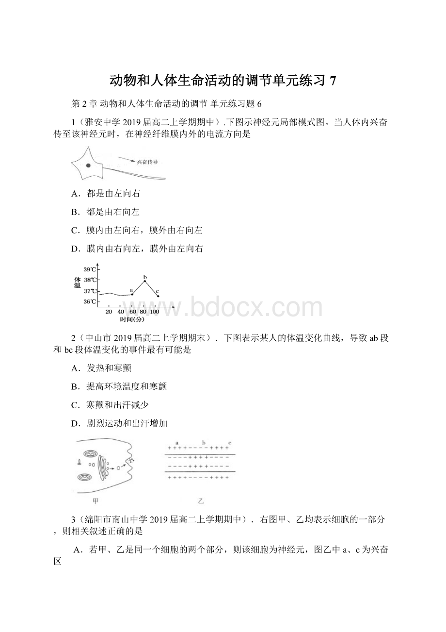 动物和人体生命活动的调节单元练习7.docx