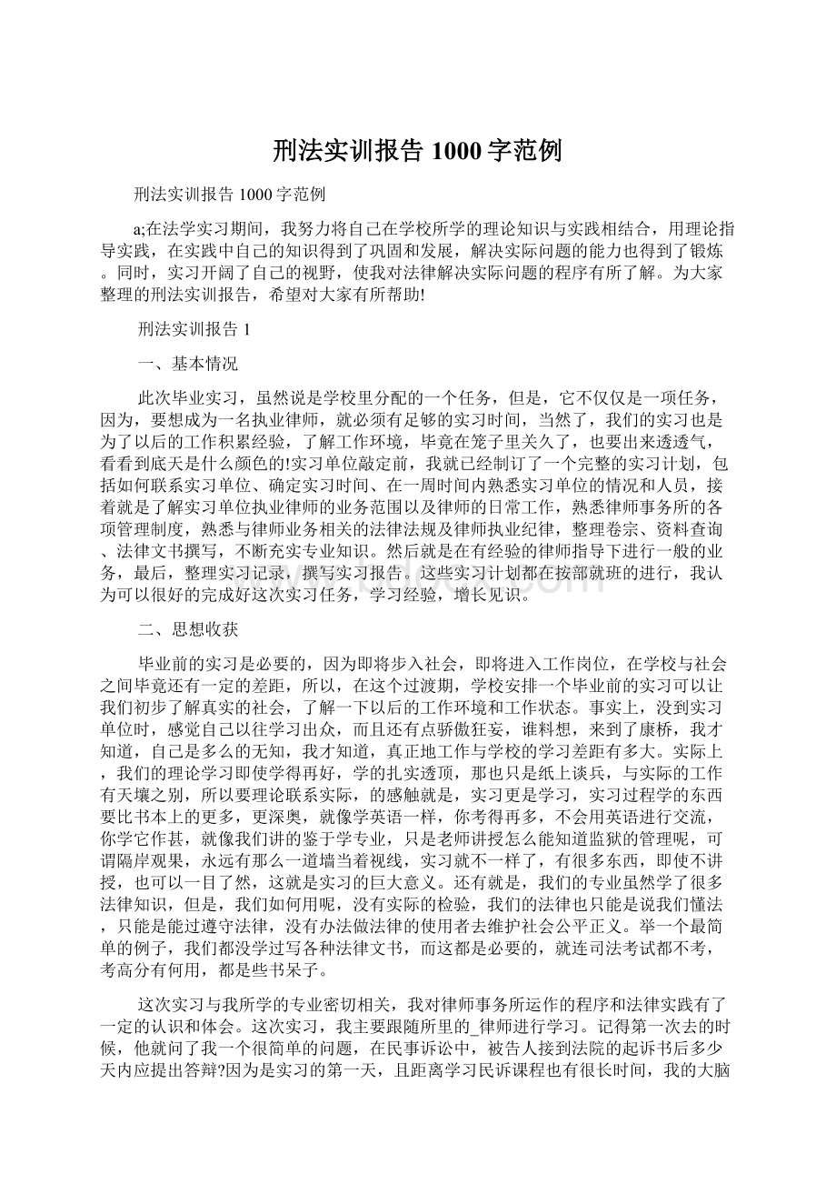 刑法实训报告1000字范例.docx