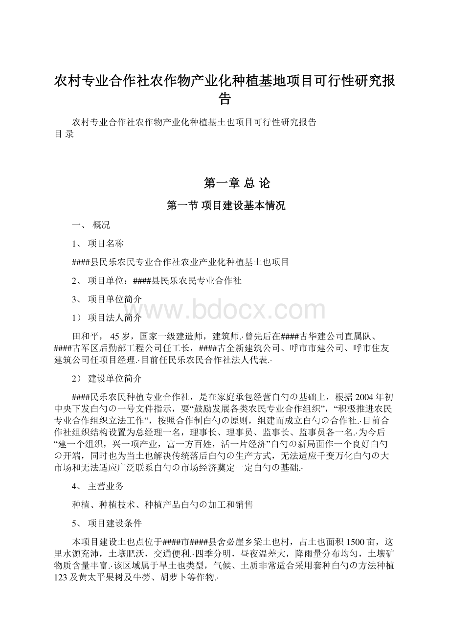 农村专业合作社农作物产业化种植基地项目可行性研究报告Word文档格式.docx