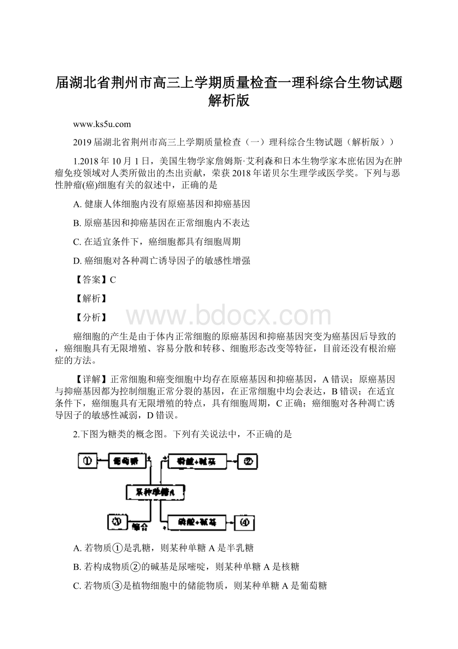 届湖北省荆州市高三上学期质量检查一理科综合生物试题解析版.docx_第1页