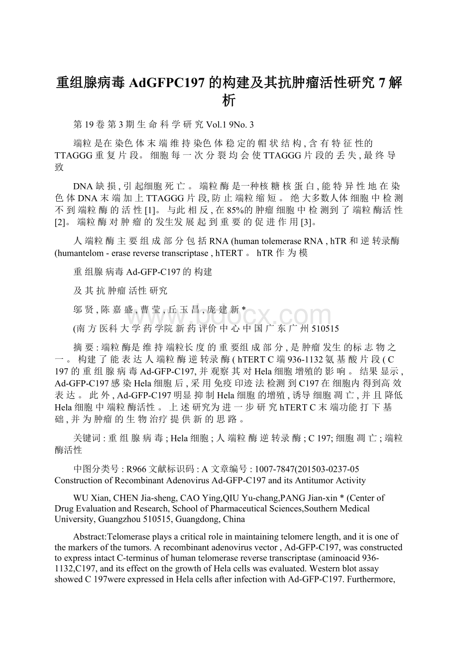 重组腺病毒AdGFPC197 的构建及其抗肿瘤活性研究7解析Word文档格式.docx