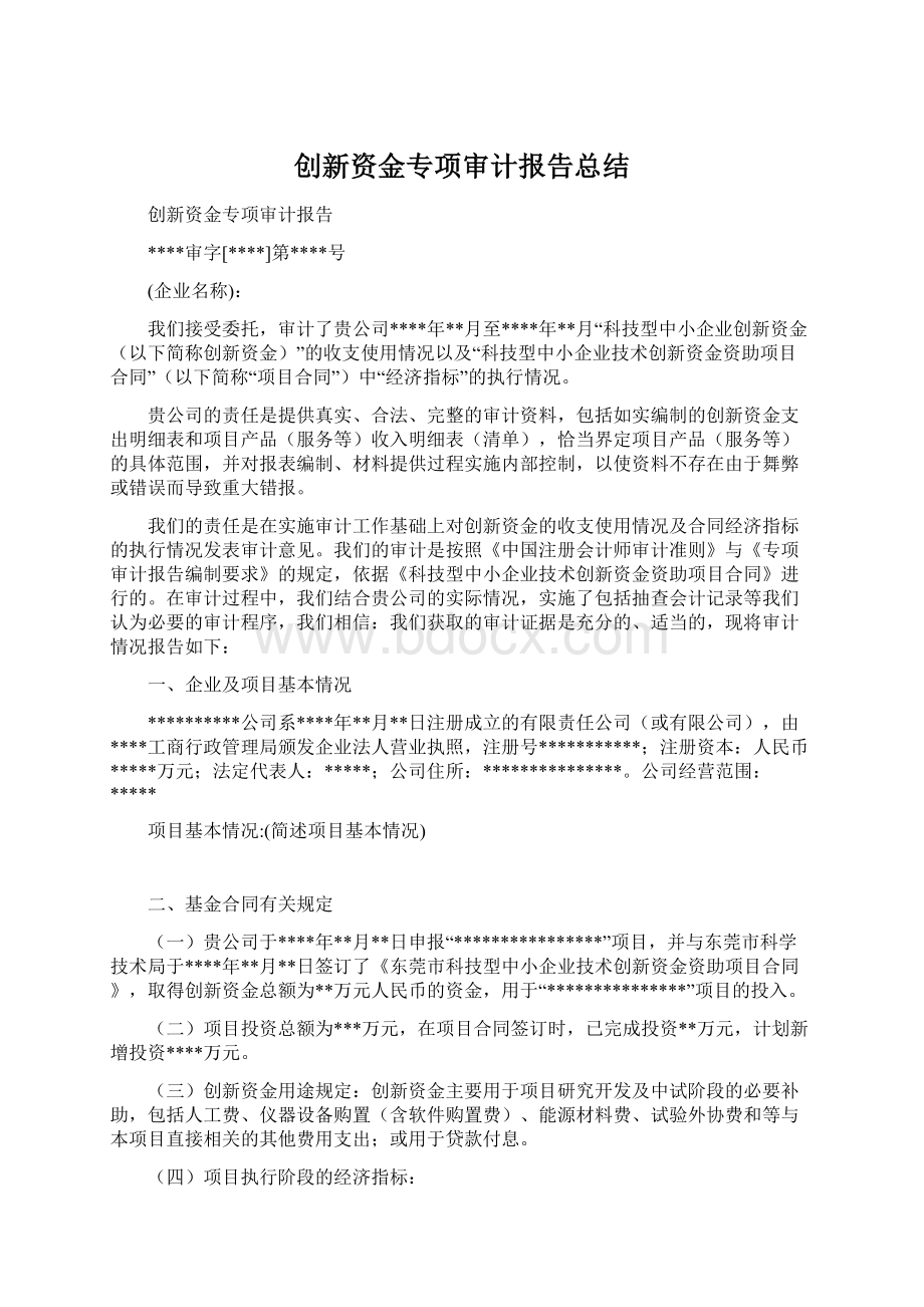 创新资金专项审计报告总结Word格式文档下载.docx