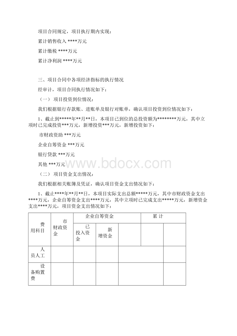 创新资金专项审计报告总结.docx_第2页