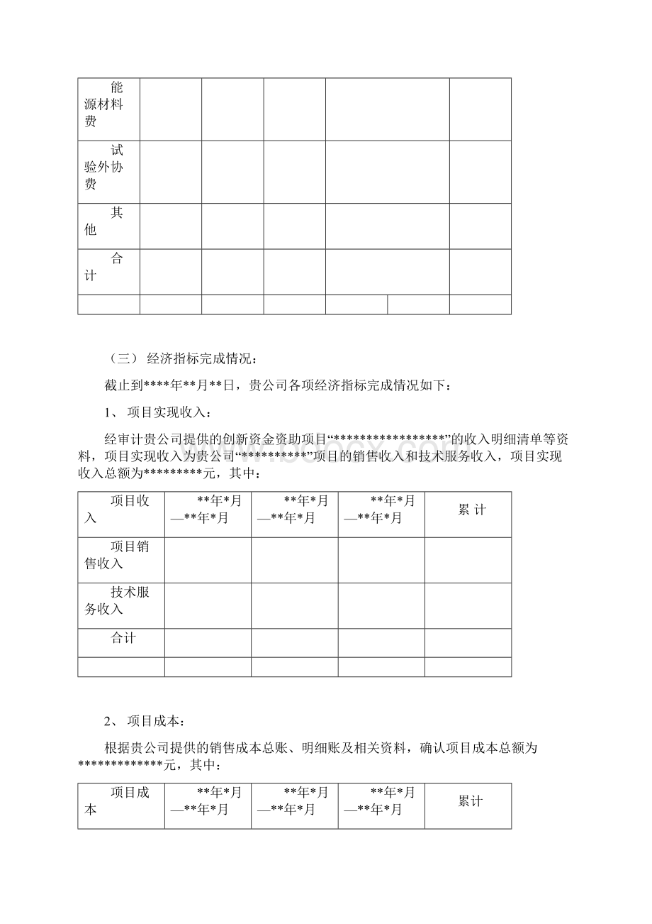 创新资金专项审计报告总结Word格式文档下载.docx_第3页