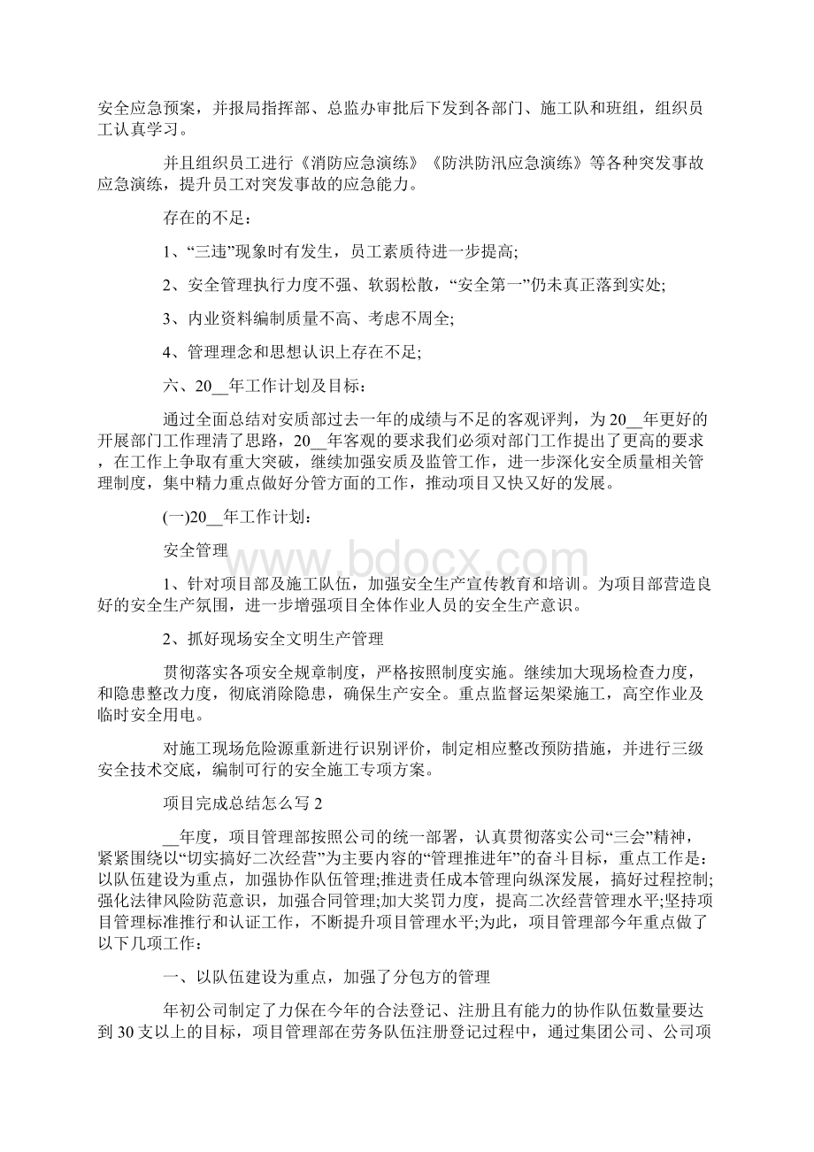 项目完成总结怎么写.docx_第3页