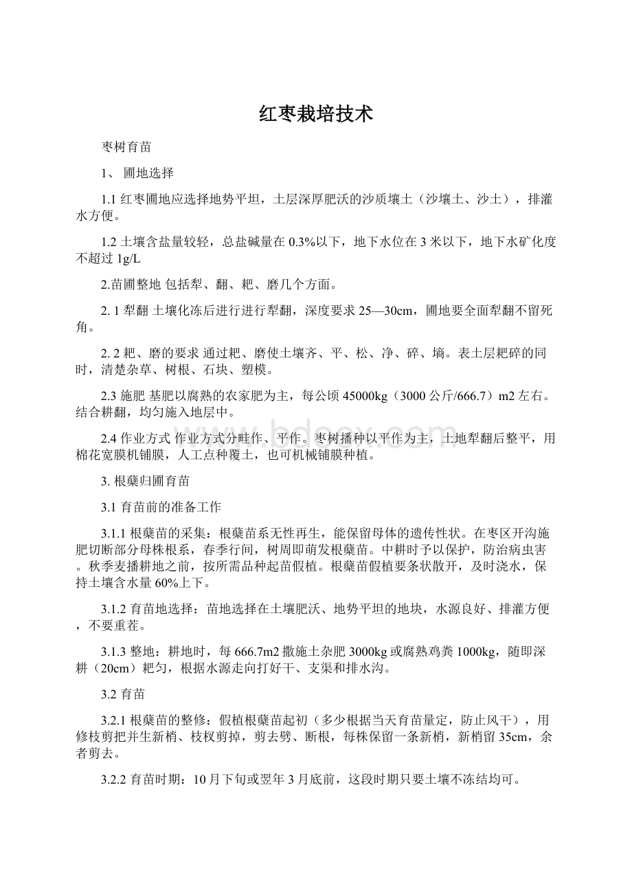 红枣栽培技术文档格式.docx