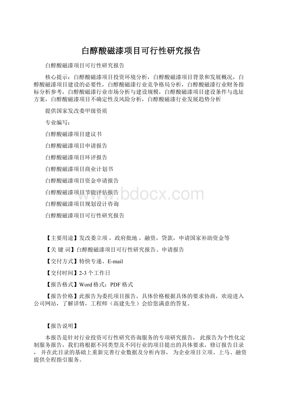 白醇酸磁漆项目可行性研究报告Word格式文档下载.docx_第1页