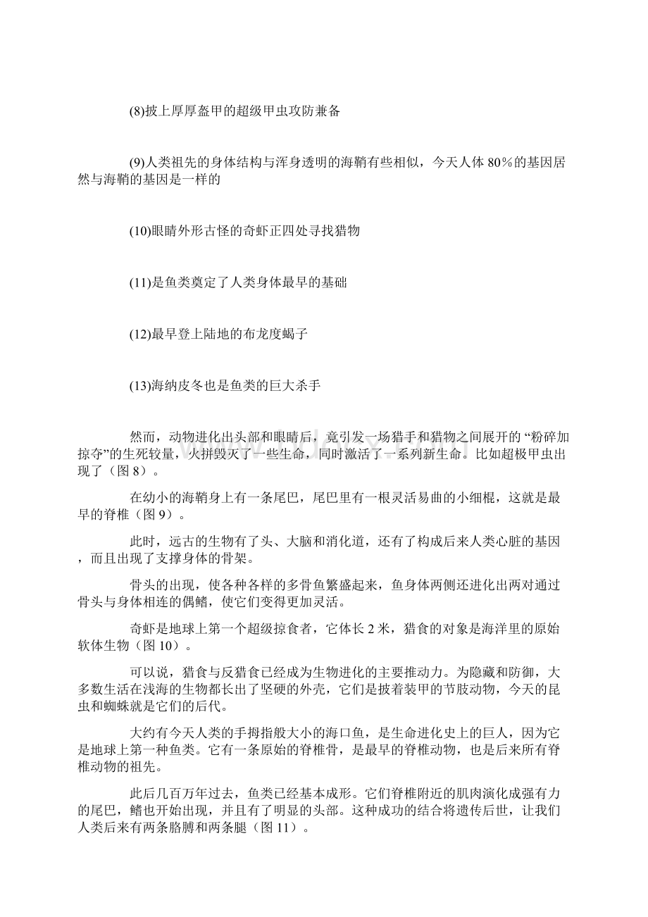 生命的黎明动物演化之谜一.docx_第3页