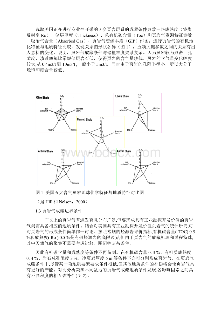 页岩气藏储层特征与开采技术文档格式.docx_第2页