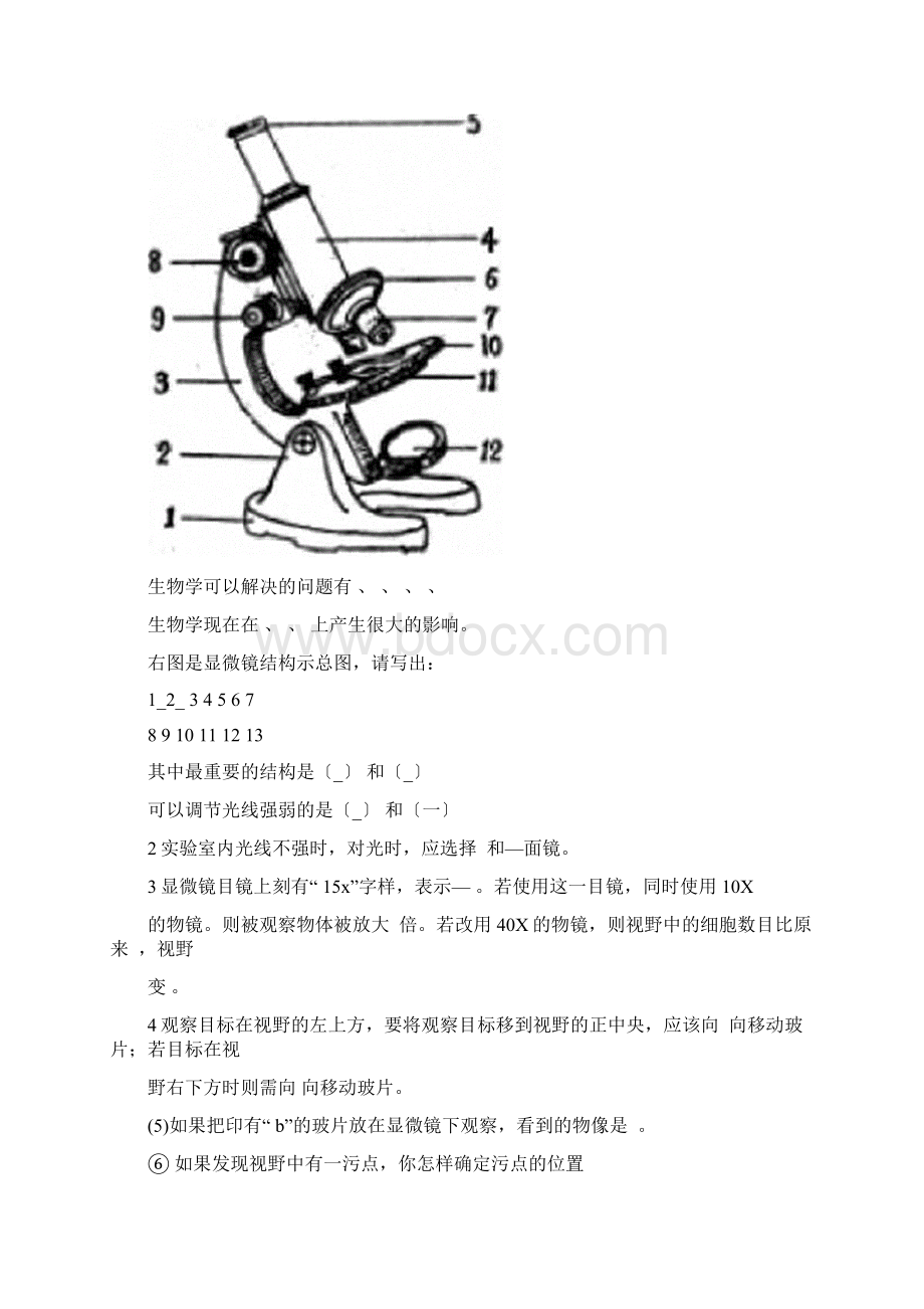 七年级生物苏教版上学期知识点填空题.docx_第2页