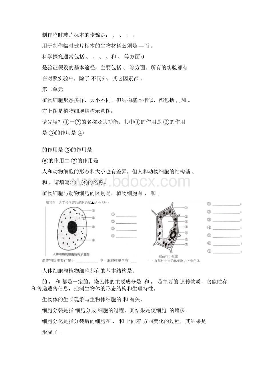 七年级生物苏教版上学期知识点填空题.docx_第3页