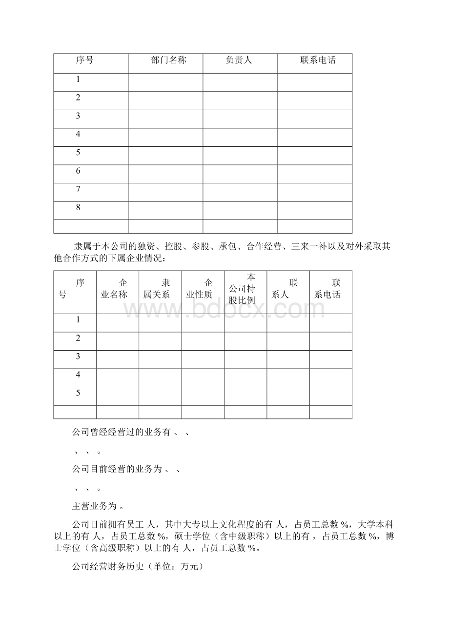 商业计划书模板Word格式文档下载.docx_第2页