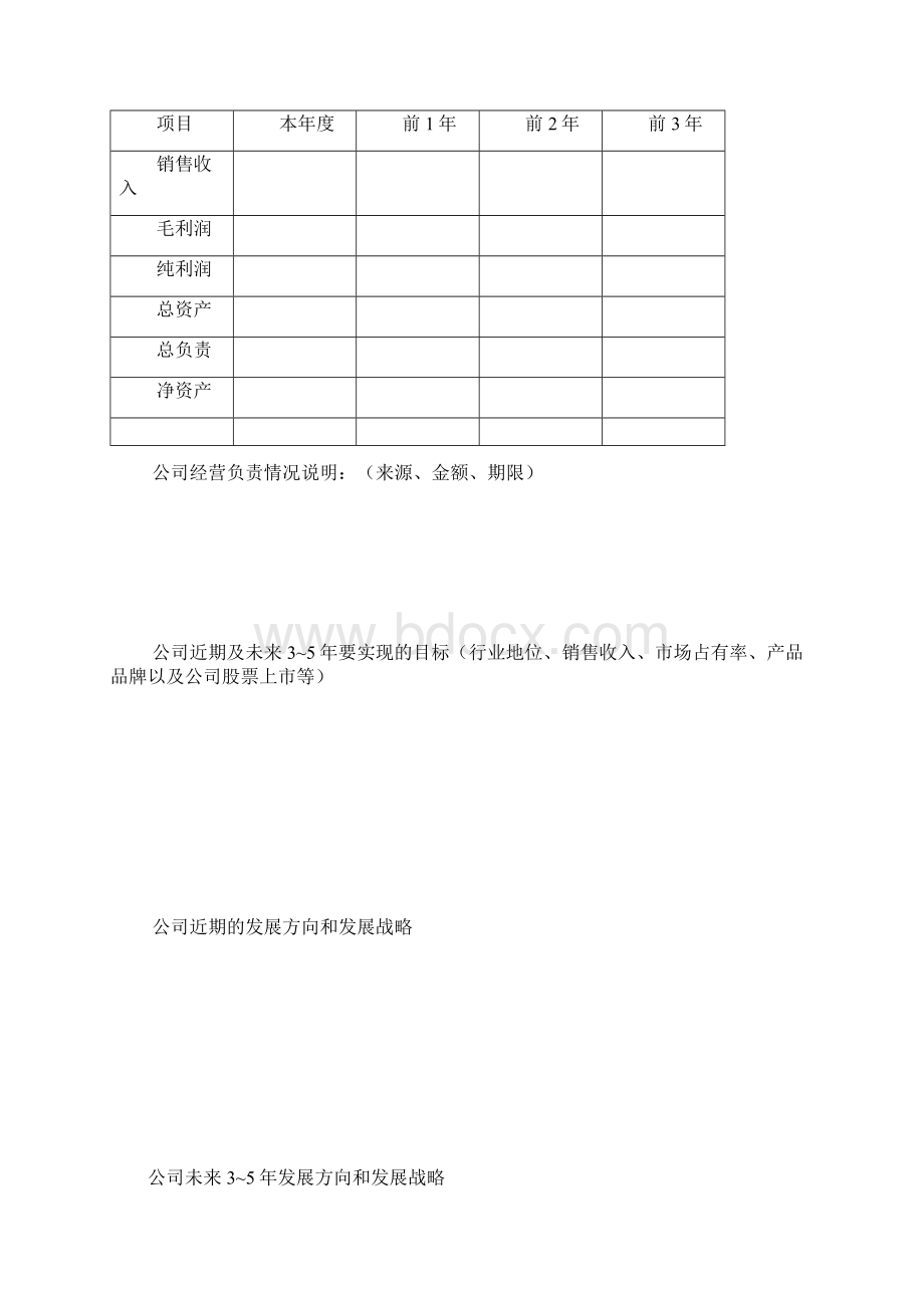 商业计划书模板Word格式文档下载.docx_第3页