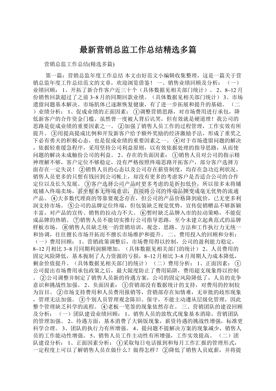 最新营销总监工作总结精选多篇.docx