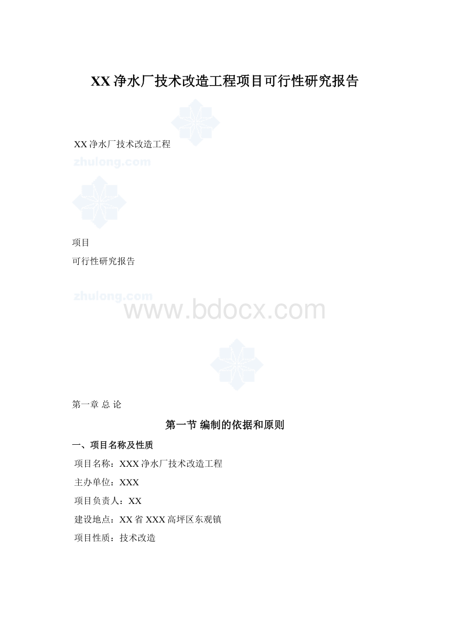 XX净水厂技术改造工程项目可行性研究报告Word格式.docx