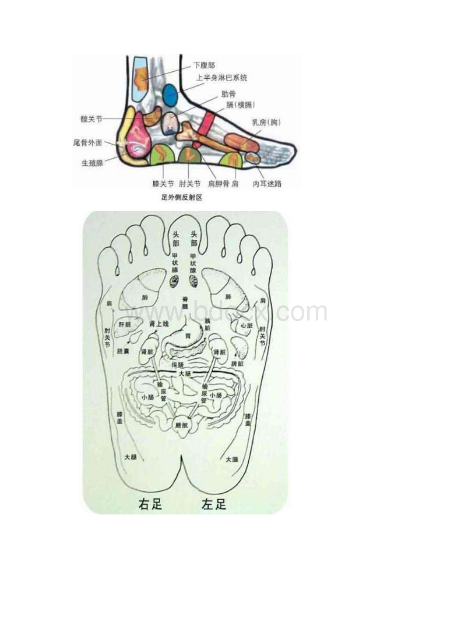 最新足部穴位图 足疗口诀Word格式.docx_第3页