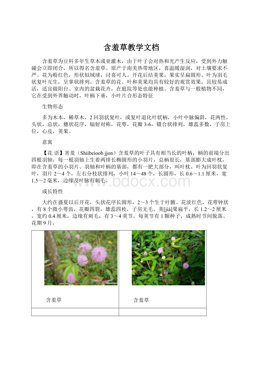 含羞草教学文档Word文件下载.docx