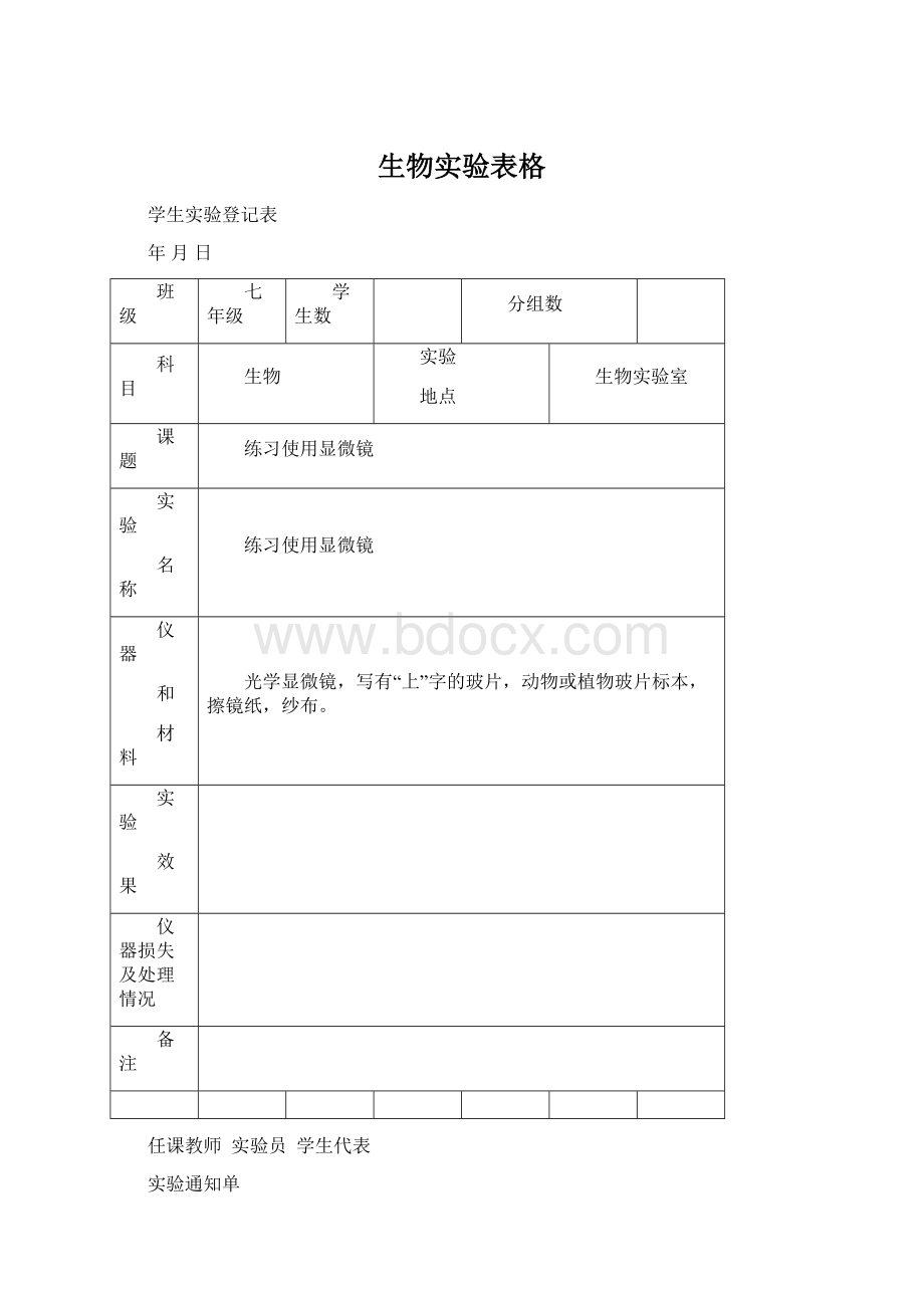 生物实验表格Word格式文档下载.docx