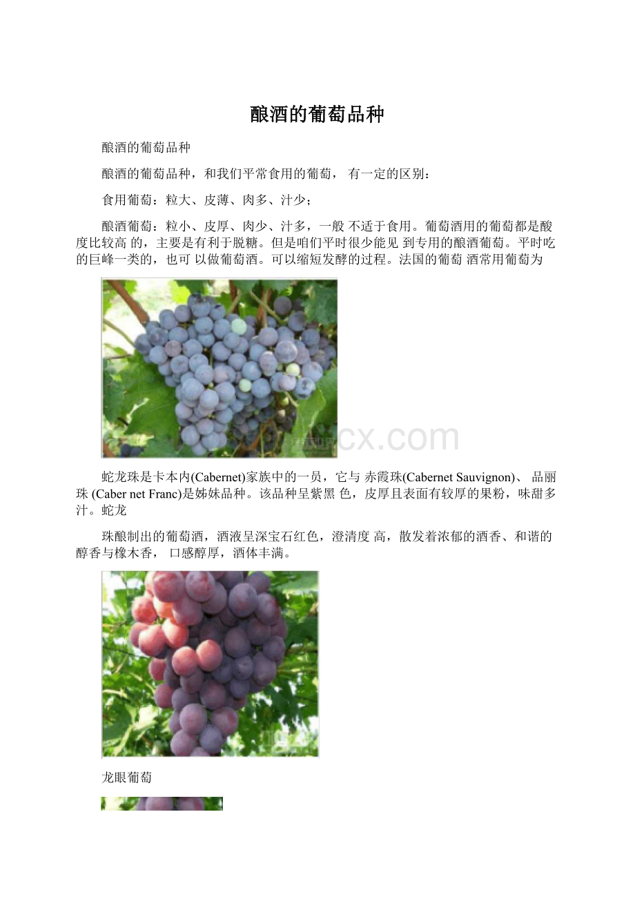 酿酒的葡萄品种.docx_第1页
