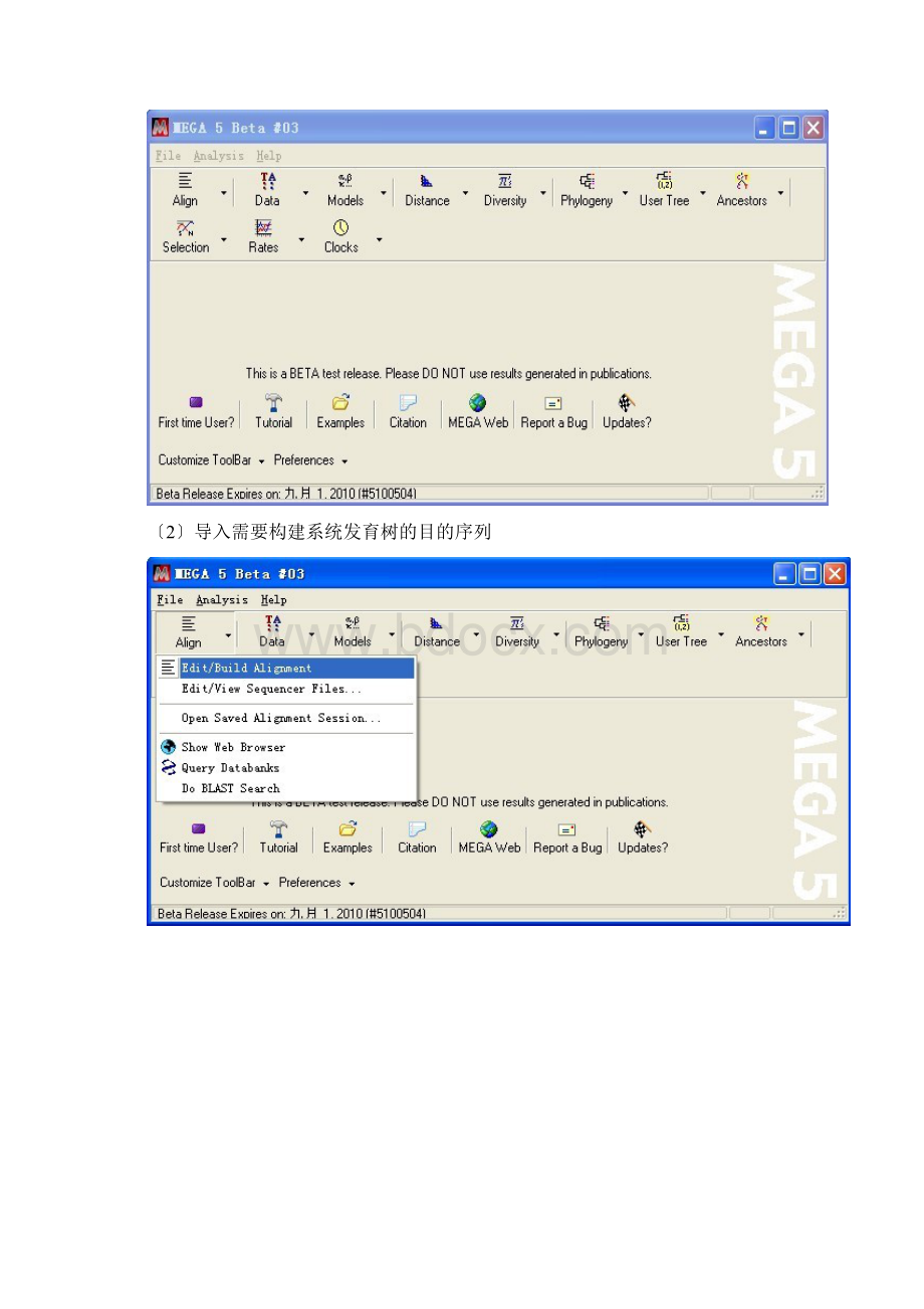 MEGA软件系统发育树构建方法.docx_第2页