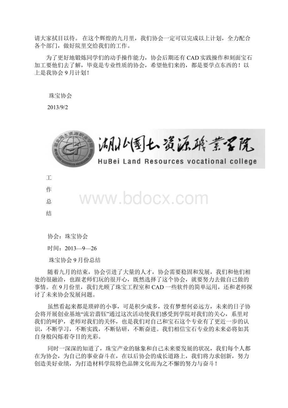 1协会计划总结.docx_第2页