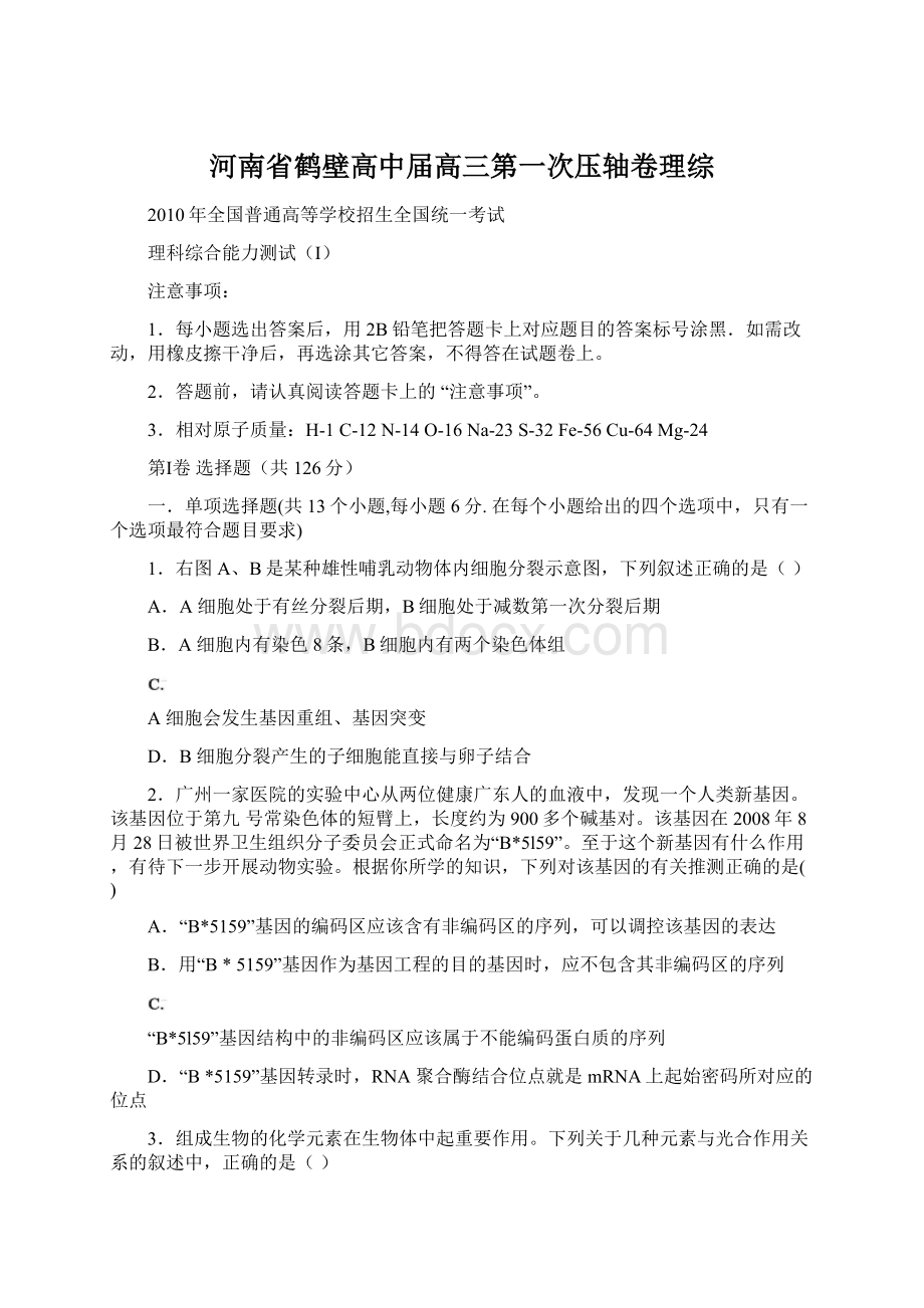 河南省鹤壁高中届高三第一次压轴卷理综.docx