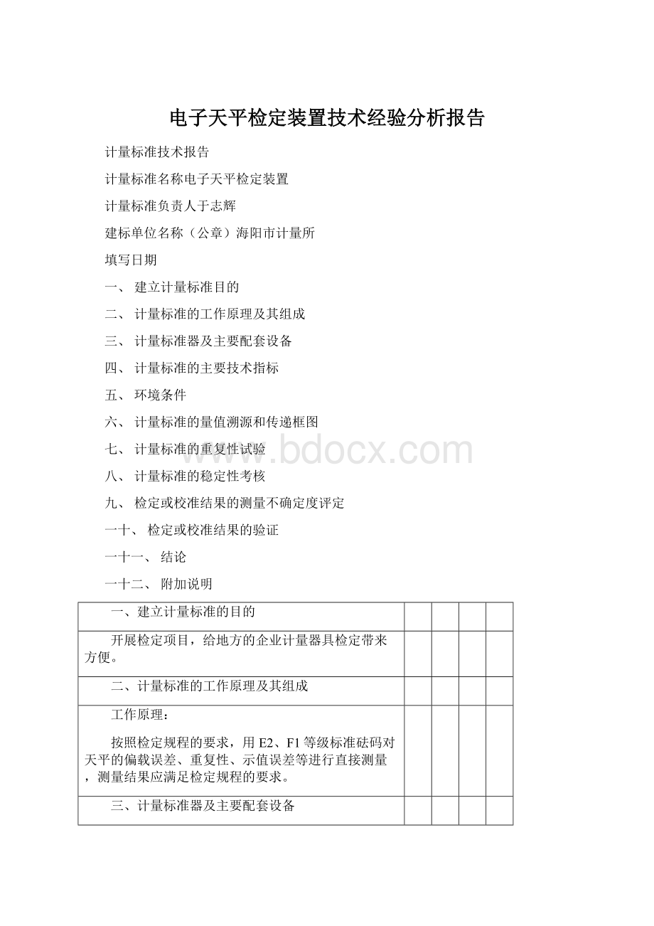 电子天平检定装置技术经验分析报告.docx_第1页