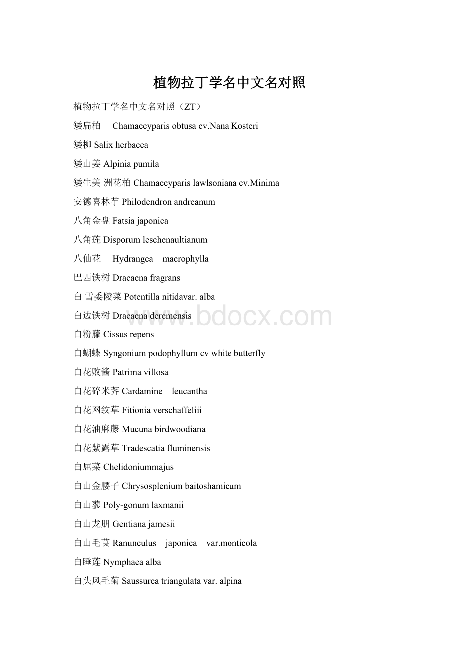 植物拉丁学名中文名对照Word文档格式.docx