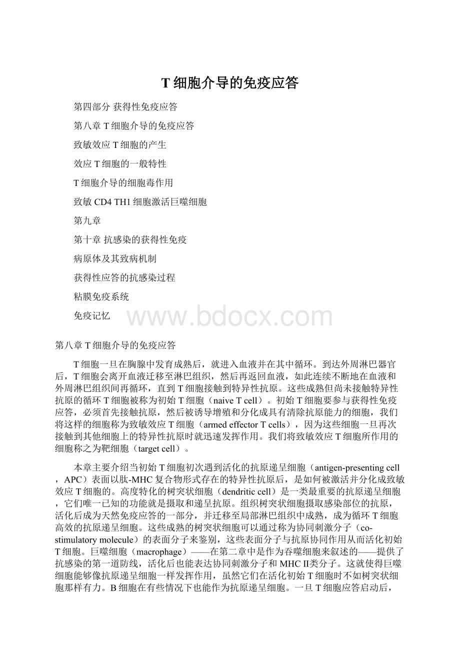 T细胞介导的免疫应答Word格式.docx